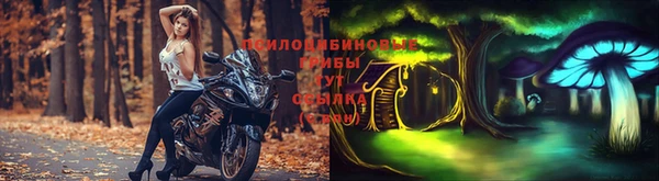 экстази Горняк