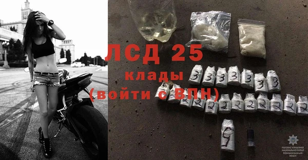 экстази Горняк