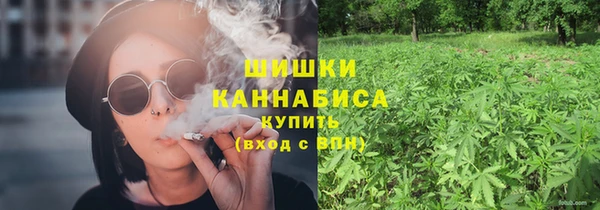 твердый Горнозаводск