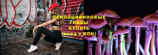 твердый Горнозаводск