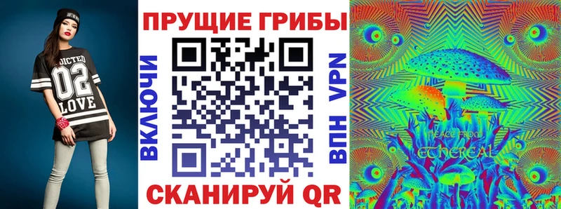 Псилоцибиновые грибы Psilocybe Купить закладки Княгинино